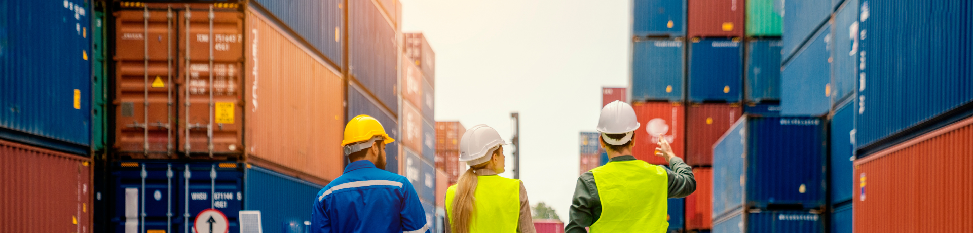 supply chain professionals by shipping containers