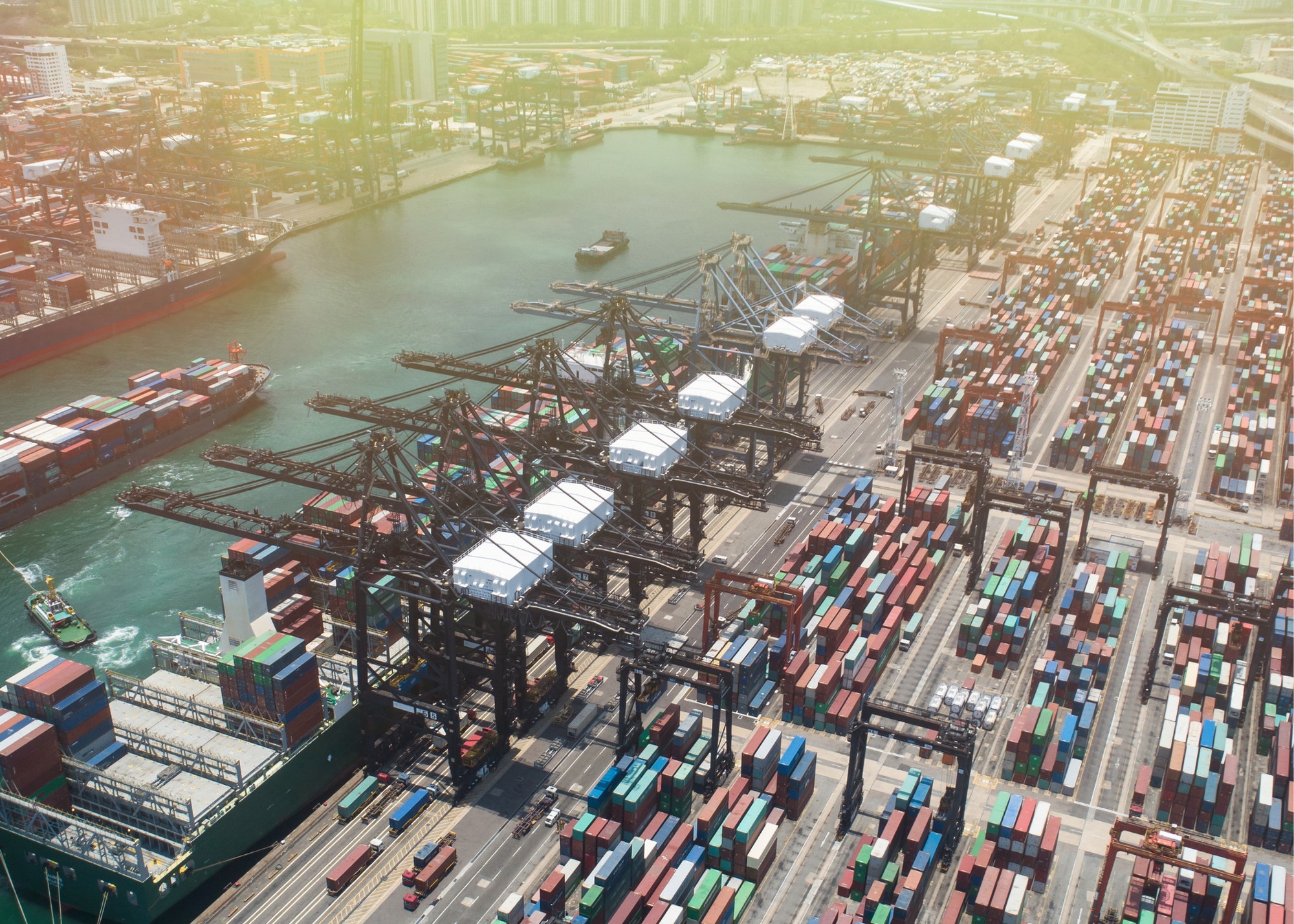 Supply Chain Management